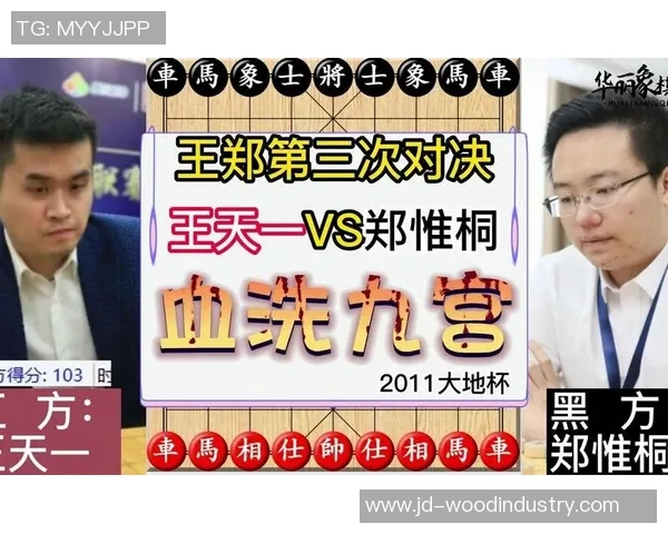 深圳排球队与西安排球队战术对决的全面分析与复盘