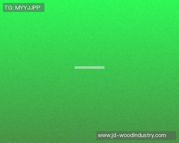 塞内加尔与厄瓜多尔足球对决分析及战术解析