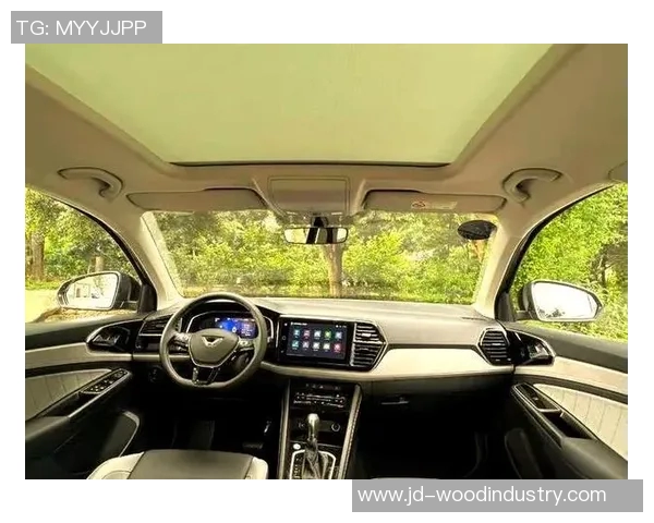 探索vs5捷7的独特魅力与性能优势，助力驾驶体验的全新升级