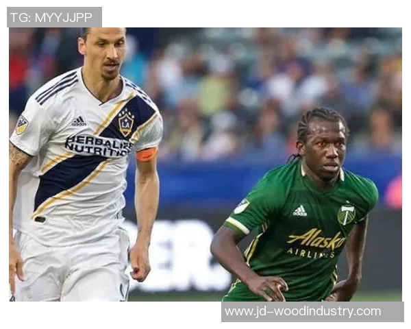 纽约城与西雅图海的文化碰撞与城市魅力深度对比分析