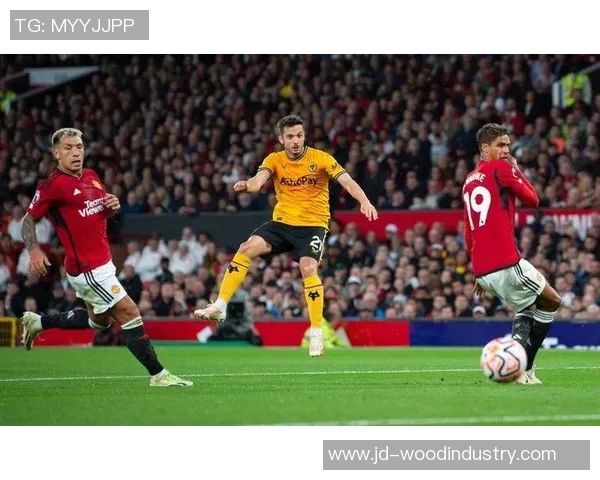 英超激战狼队迎战莱切城双方争夺关键三分展现实力较量