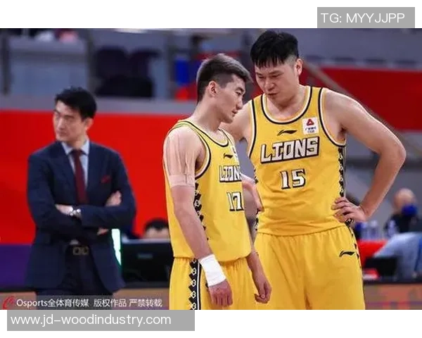 辽宁与广东篮球对决数据分析及战术解析全面解读